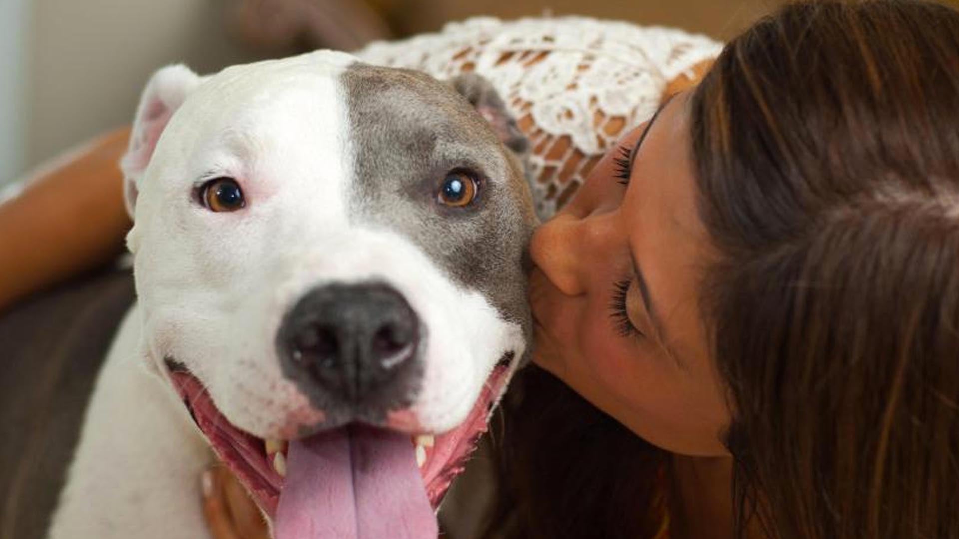 Consejos para aprender a ir al baño