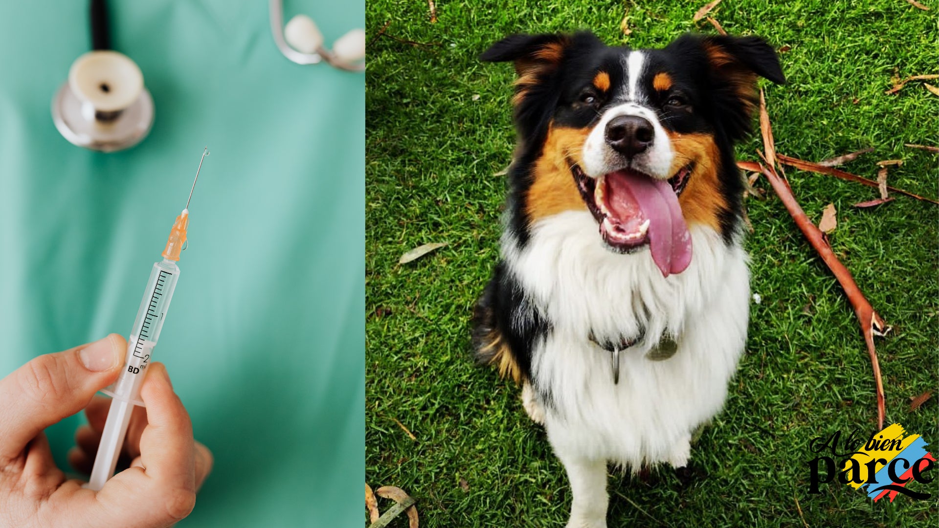 Vacunas Obligatorias