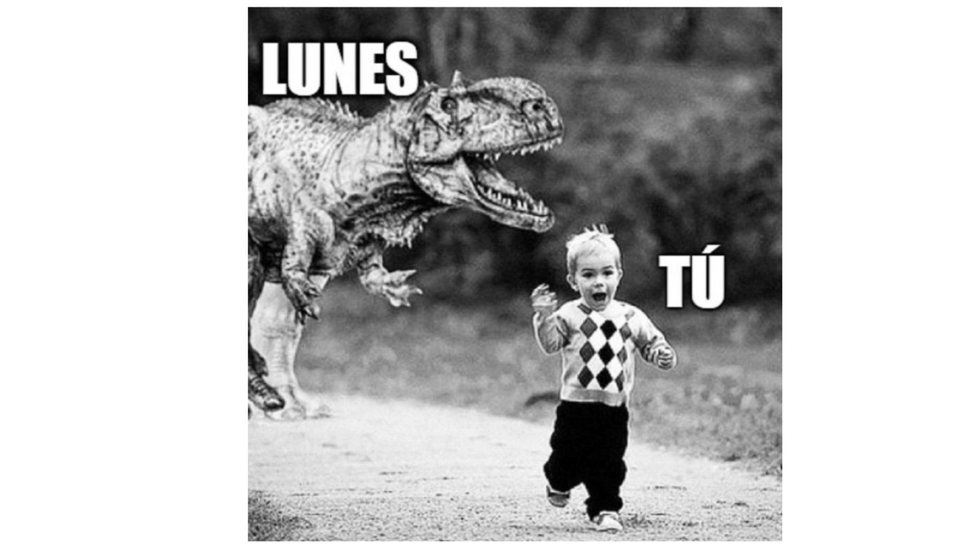 Memes de lunes
