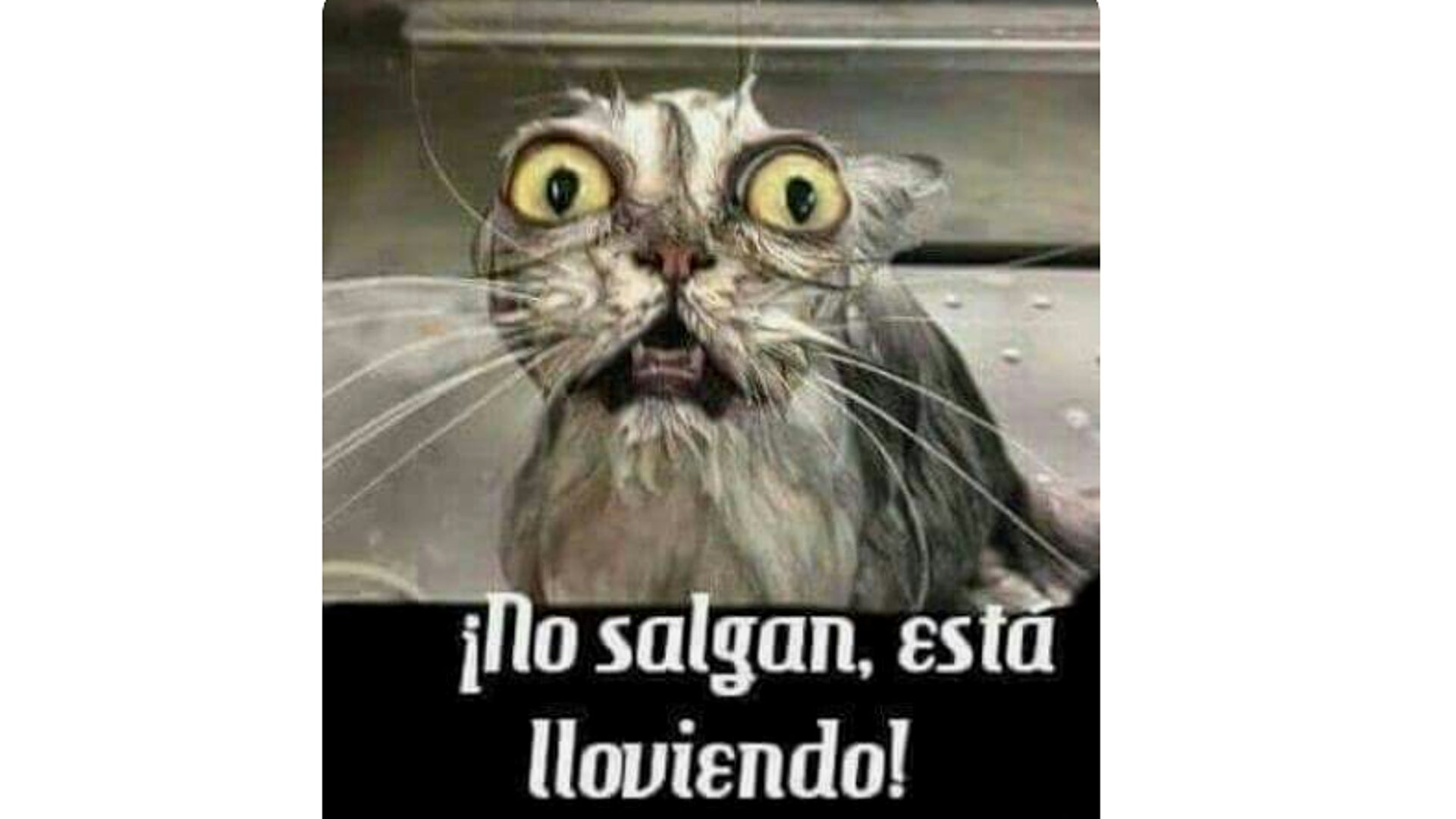Memes de lluvia