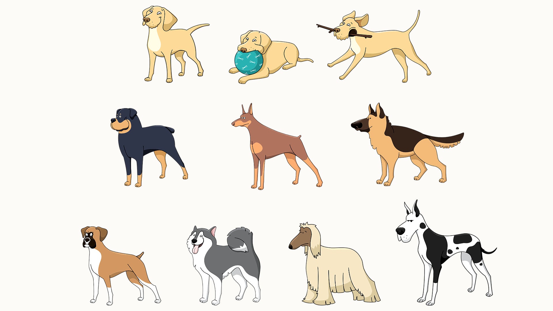 Origen de los perros