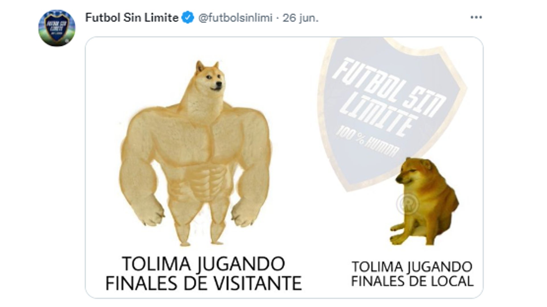 meme Tolima