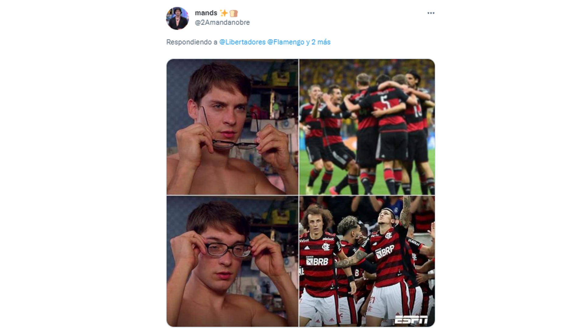 memes de la goleada de Flamengo a Tolima