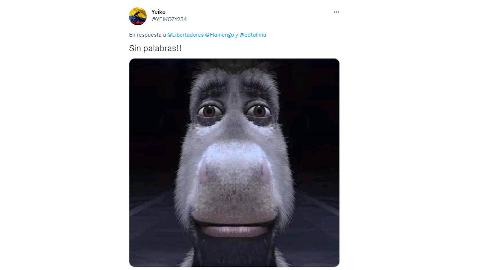 memes de la goleada de Flamengo a Tolima