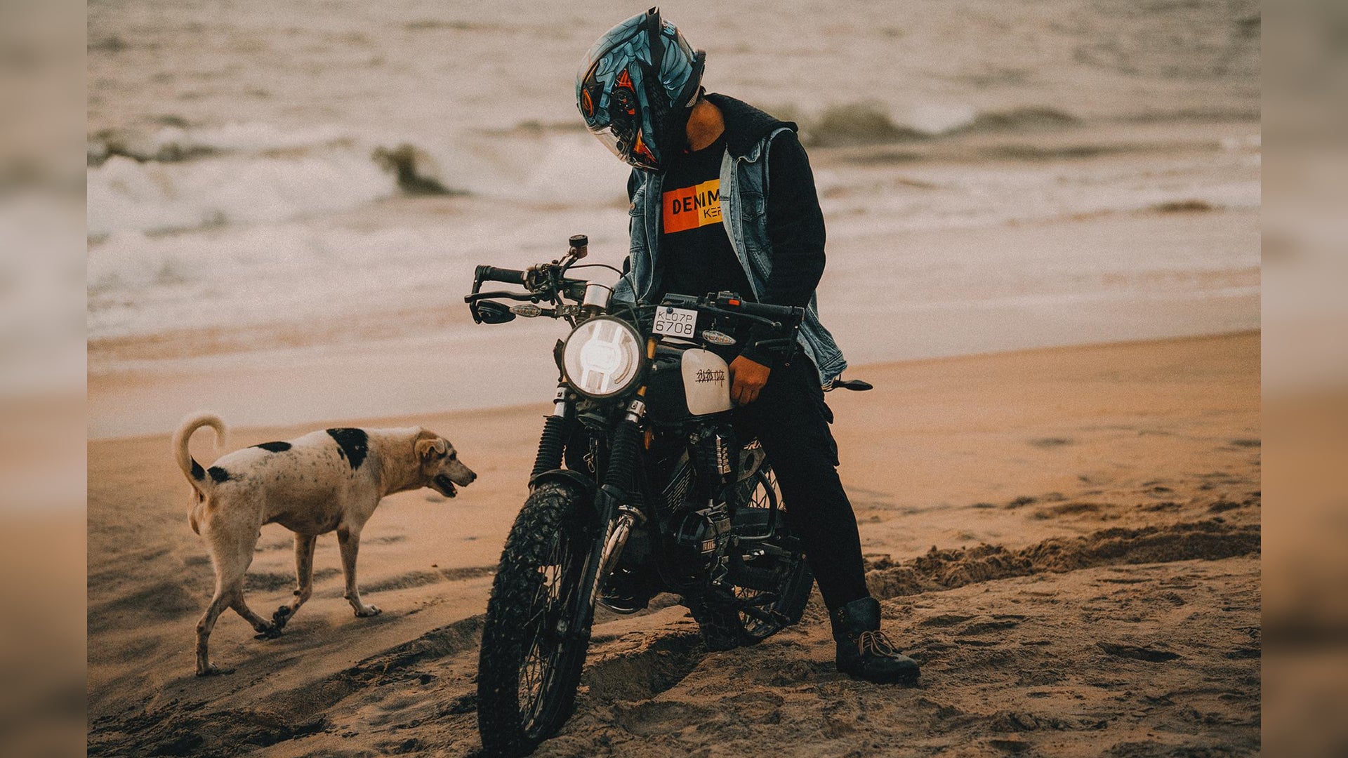 Socialización cachorro