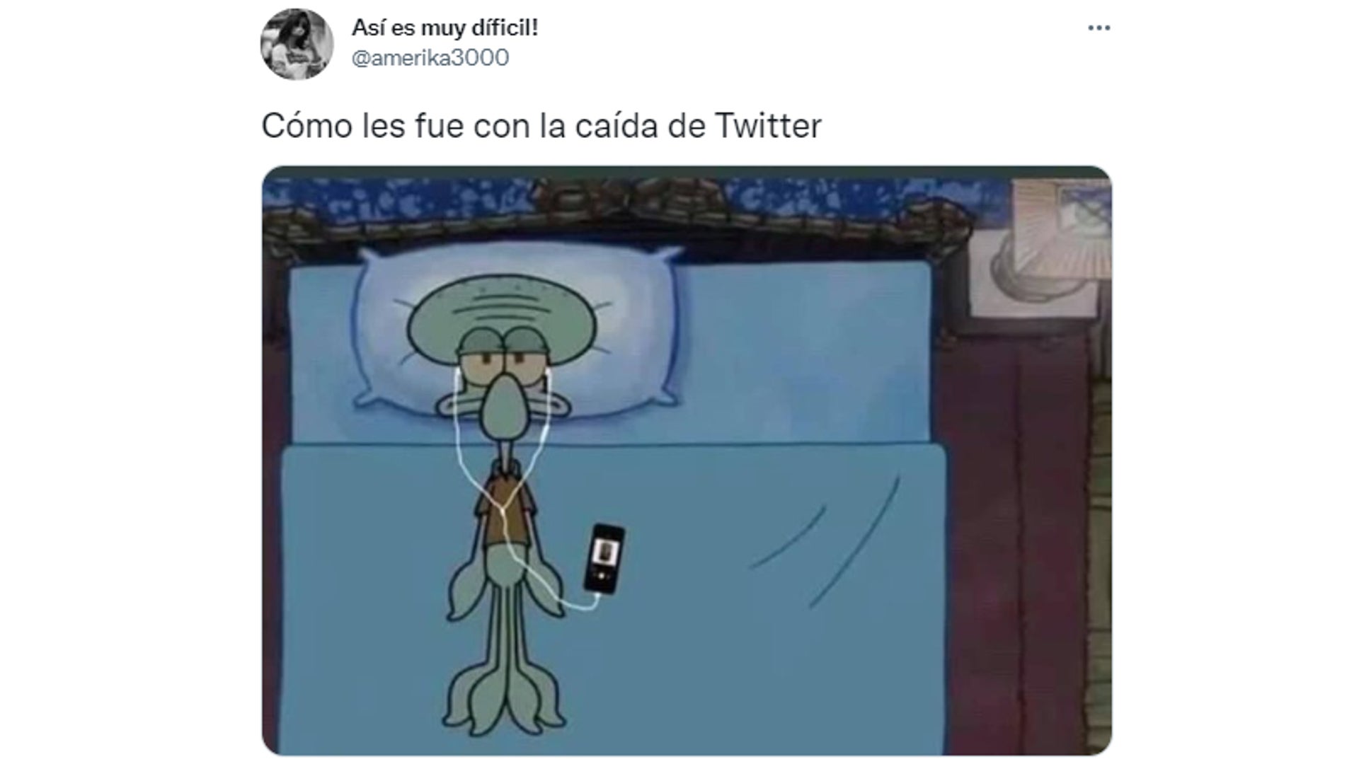 Memes caída Twitter