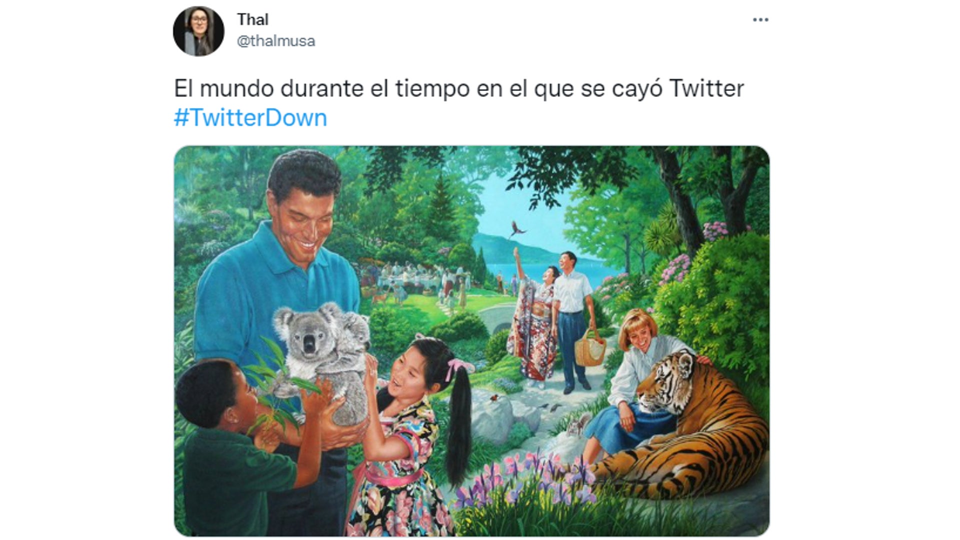 memes caída Twitter