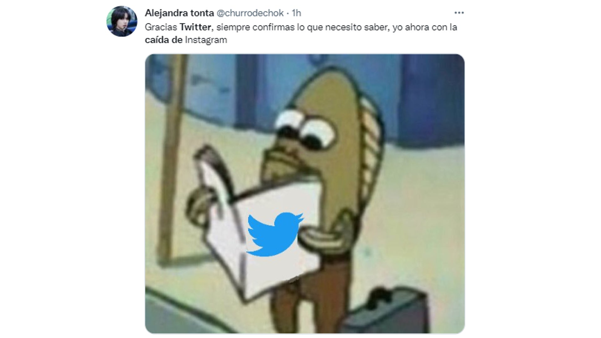 memes caída Instagram