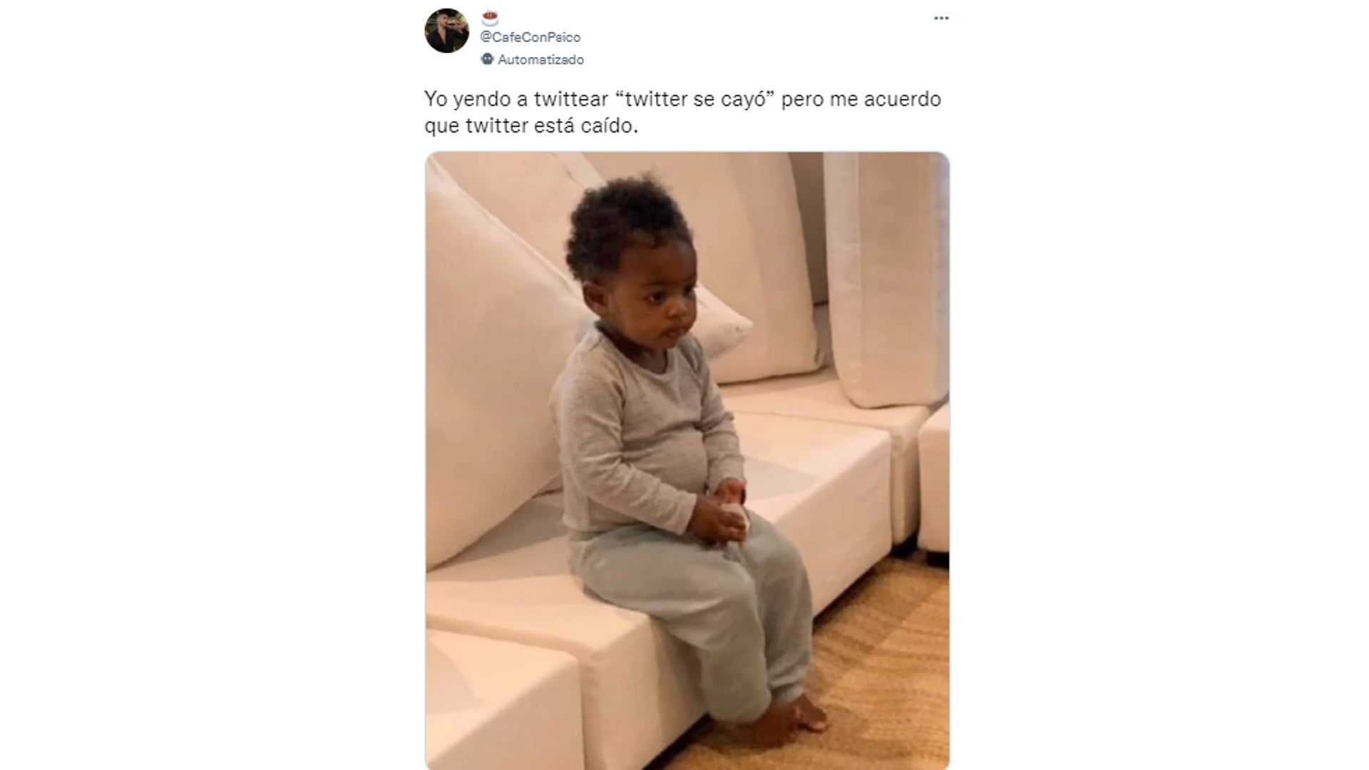 memes caída Twitter