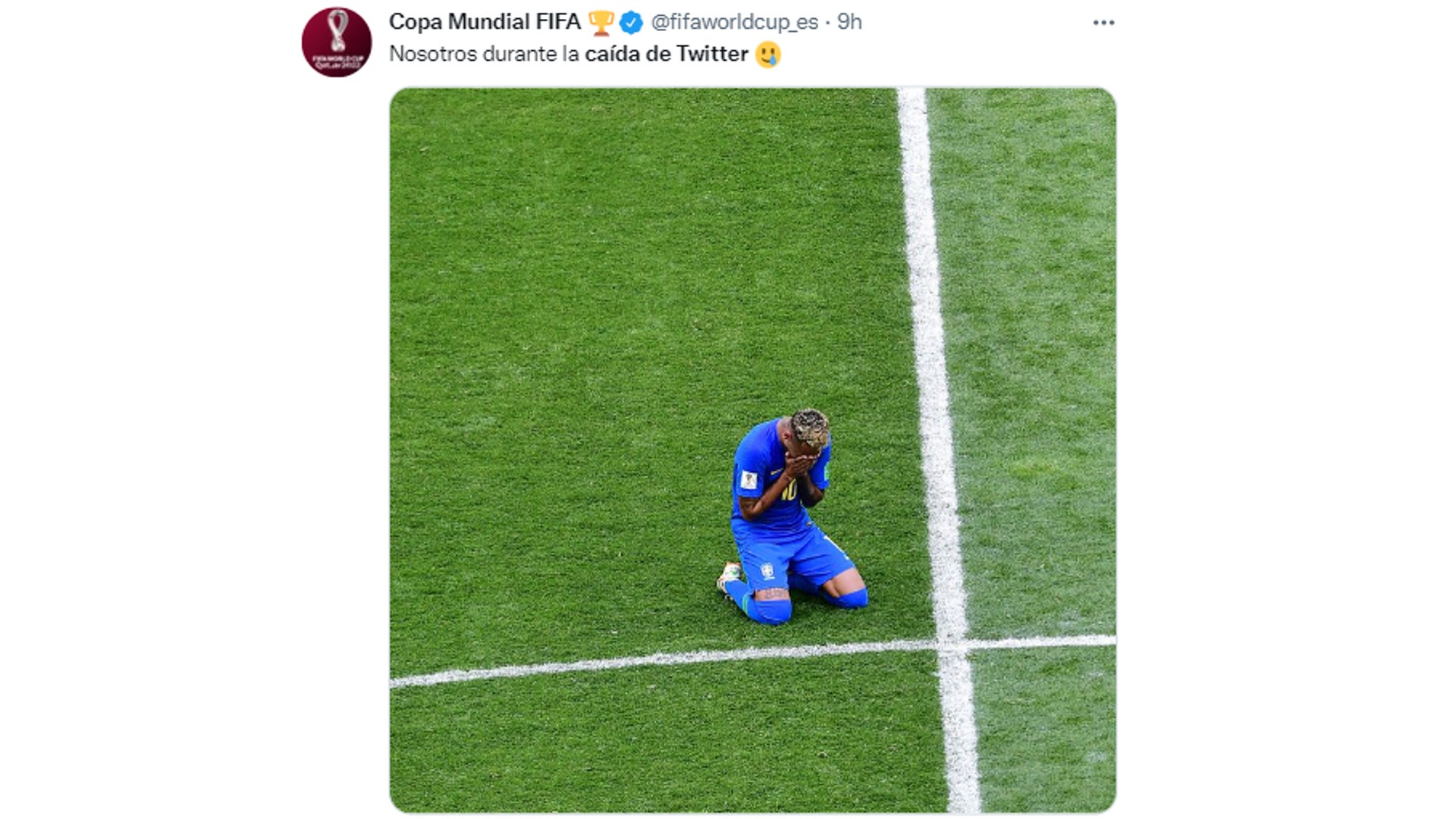 memes caída Twitter