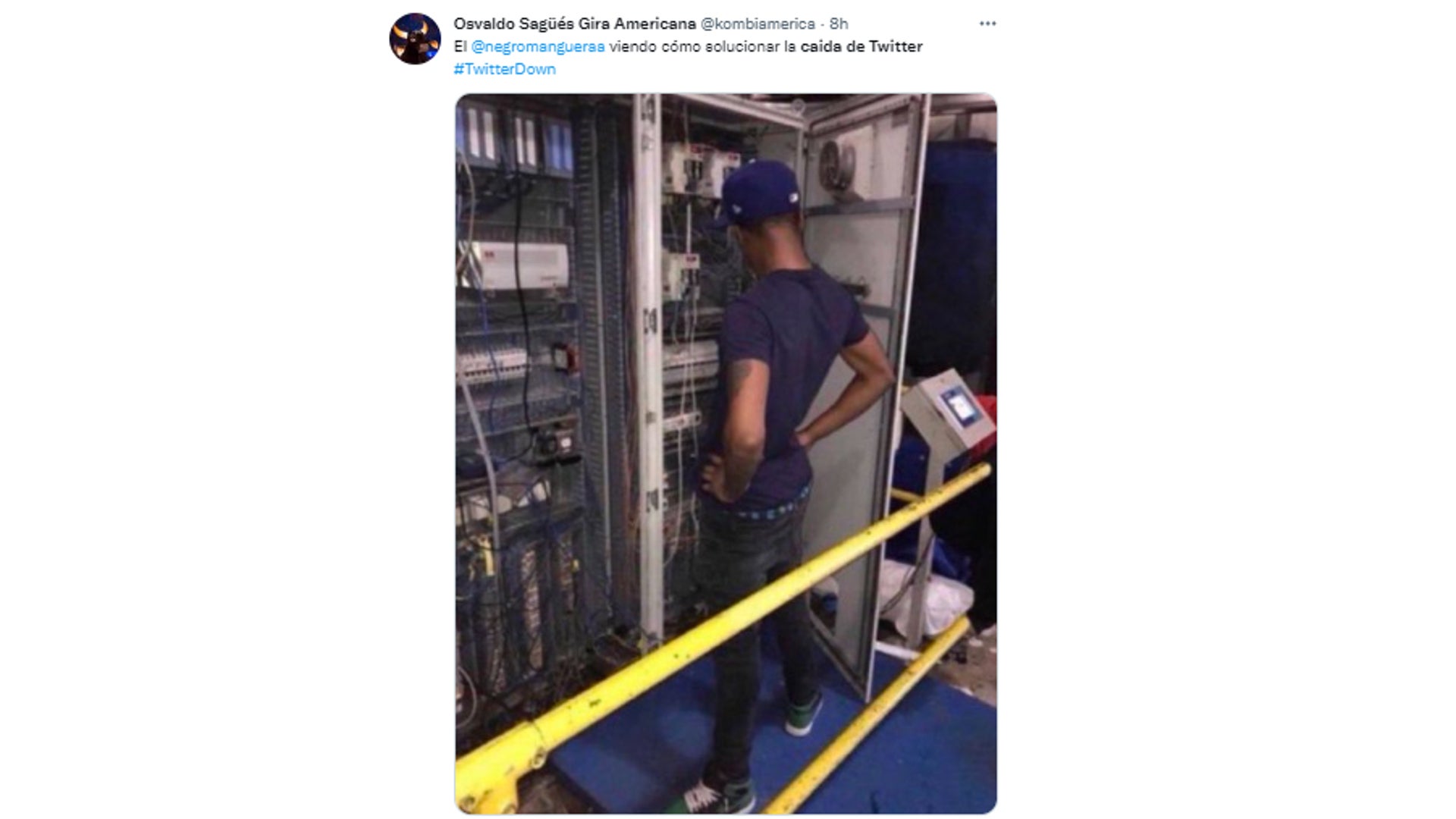 memes caída Twitter