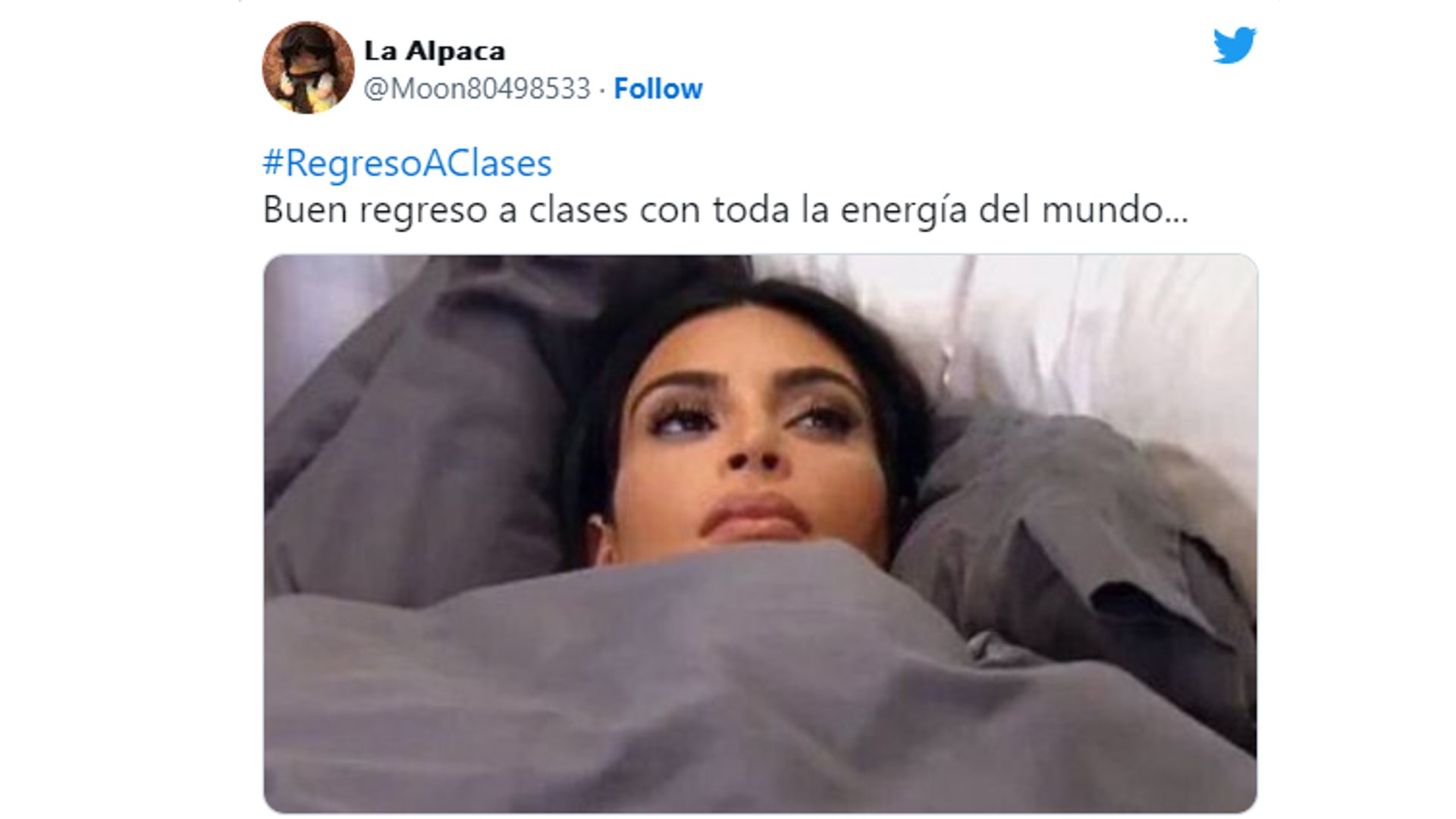 memes regreso a clases