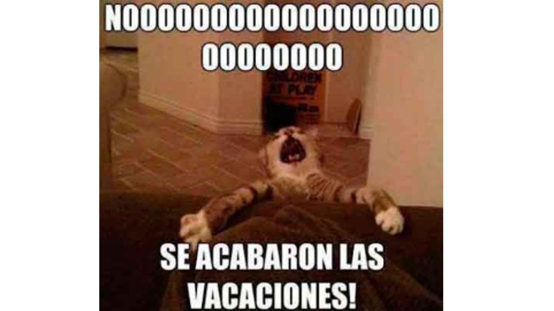 memes regreso a clases 