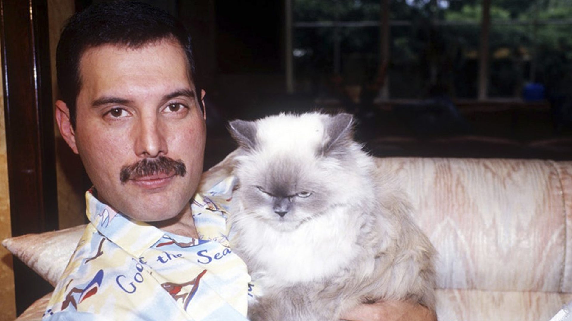 Freddy Mercury