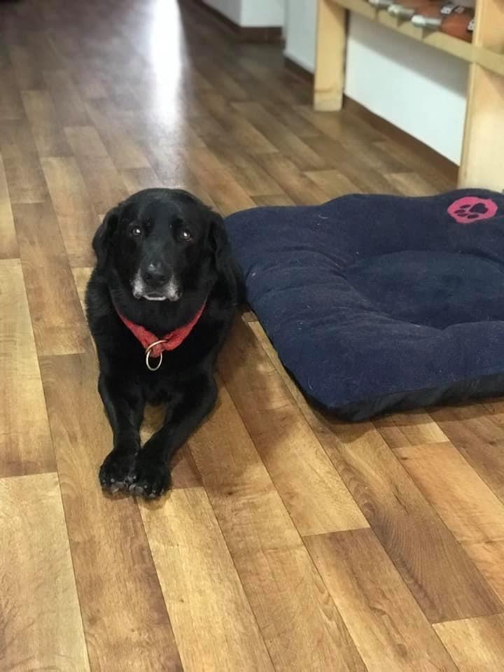 Jack Daniel Vagabundo Wines