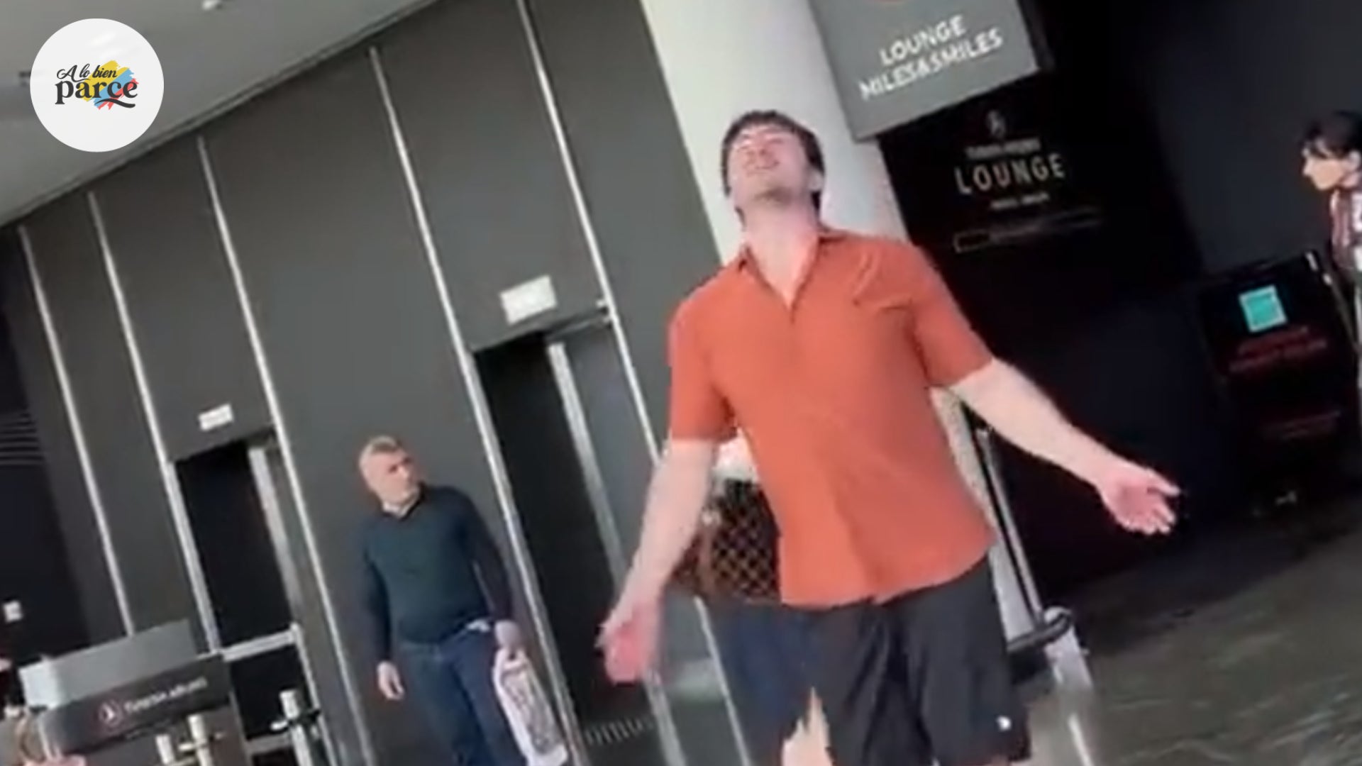 Una aerolínea perdió cuatro perros en un vuelo