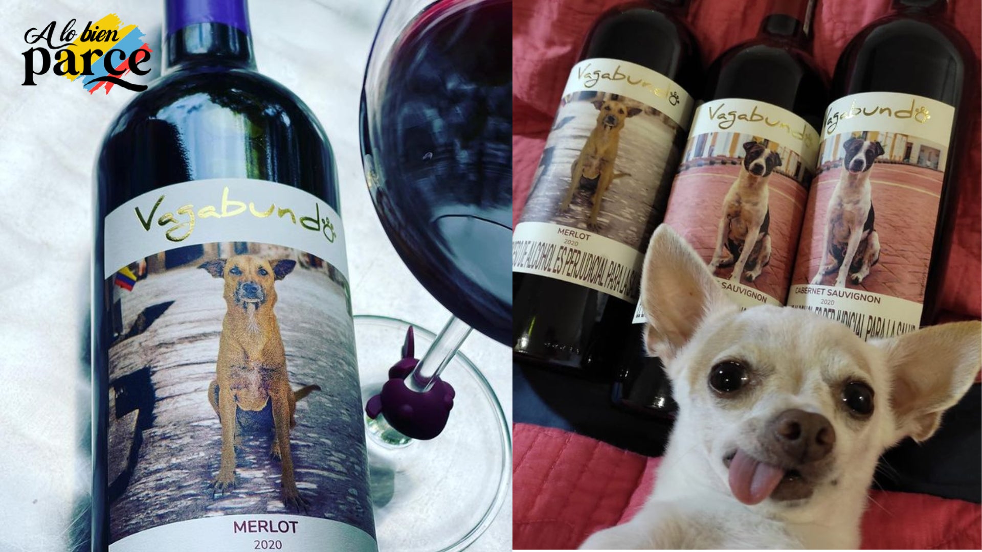 Vagabundo Wines un emprendimiento para ayudar a animales sin hogar