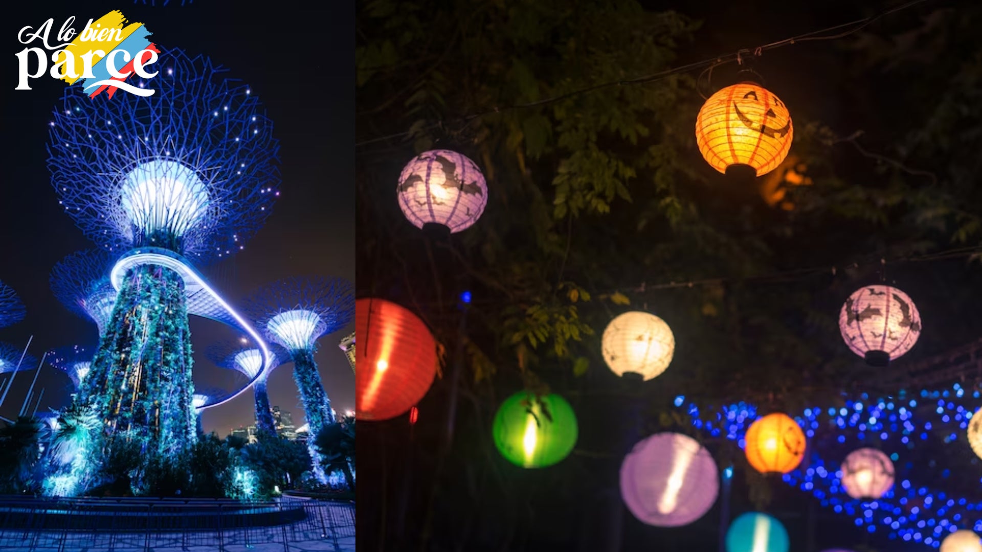 Espectáculo de luces nocturno que ilumina el cielo con una combinación de colores vibrantes y patrones asombrosos.