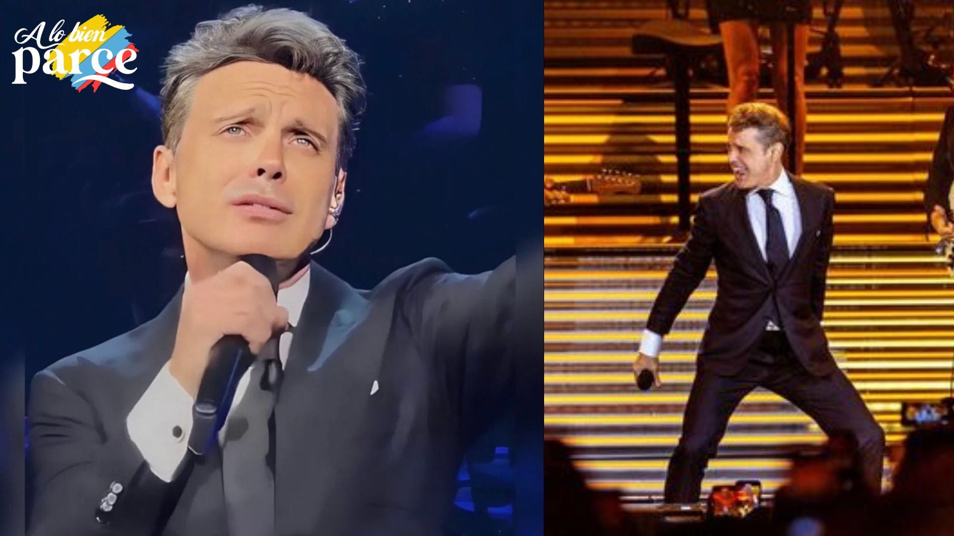 Una imagen que representa a Luis Miguel en el escenario, con una audiencia emocionada al fondo