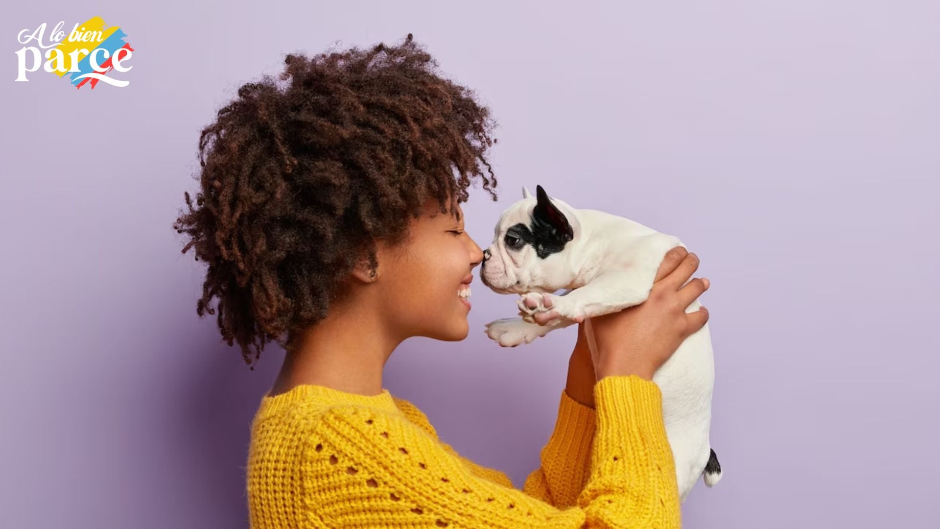 Quiroprácticos en perros y gatos Perro bebé y persona alzándolo