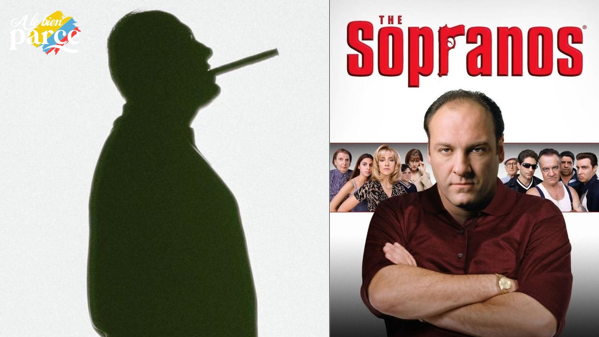 Serie The Sopranos Serie The Sopranos, más que una novela