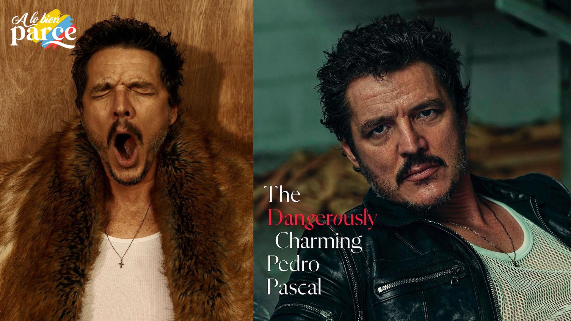 pedro pascal pascalispunk