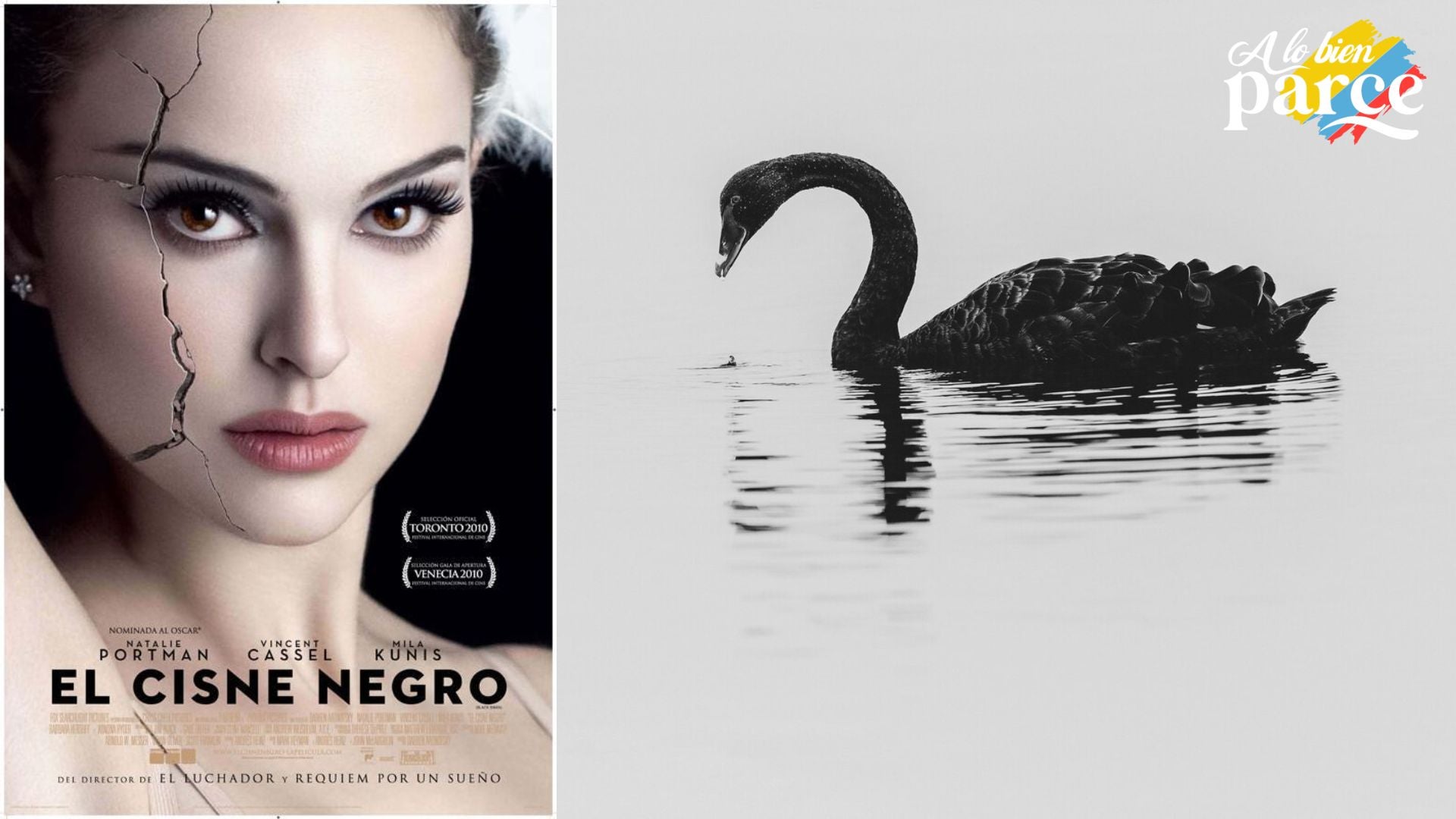 Película Cisne Negro