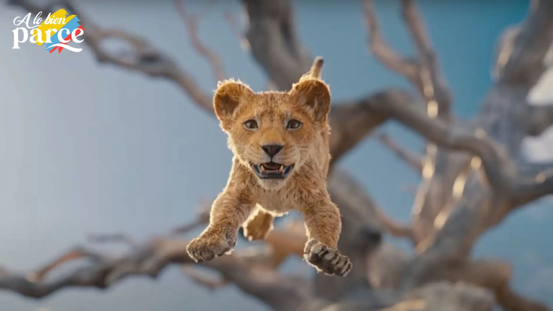 El Rey León Renace Una Nueva Visión desde los Ojos de Mufasa